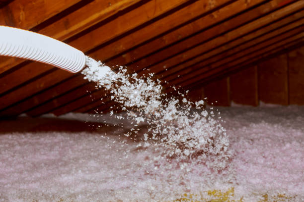 Best Insulation Installation Services in Chester, MD